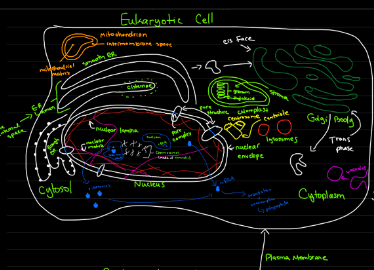 Screen Shot 2014-01-24 at 11.47.07 AM