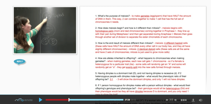 Ms. Allison walks her students through the problem-solving process through the Movenote video lesson